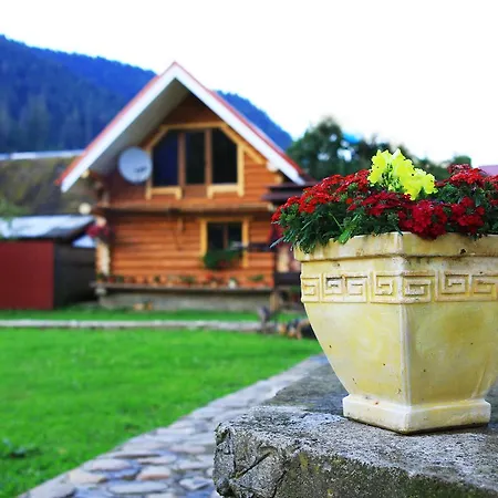 Eco Centr Zrub Inn