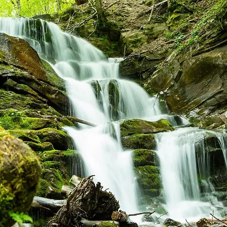 Eco Centr Zrub Herberg