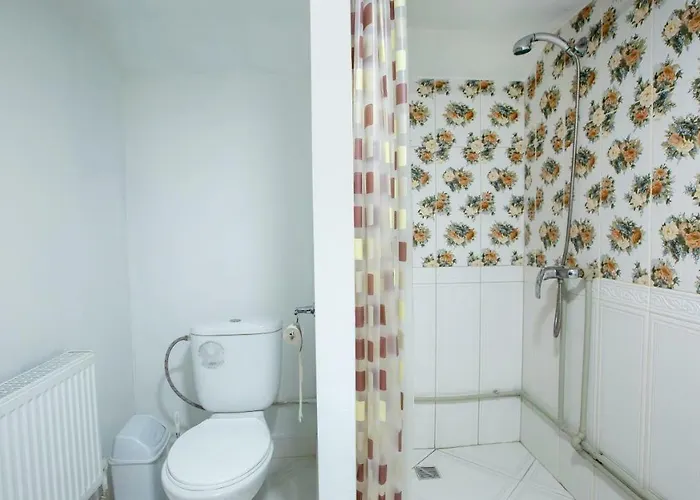 Eco Centr Zrub イン