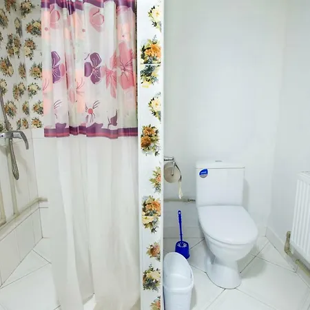 Inn Eco Centr Zrub
